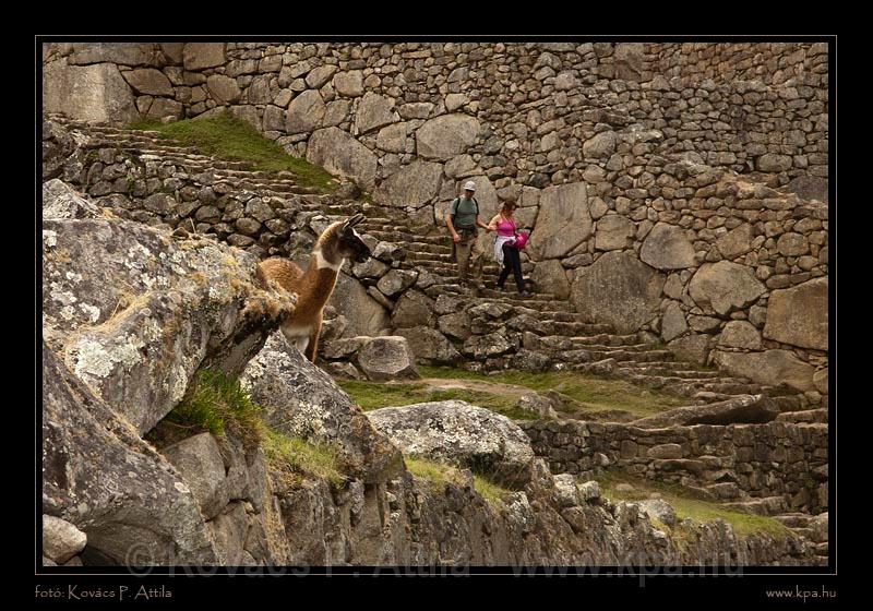 Machu Piccu 078.jpg